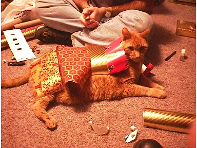 wrapping your cat.JPG (59548 bytes)